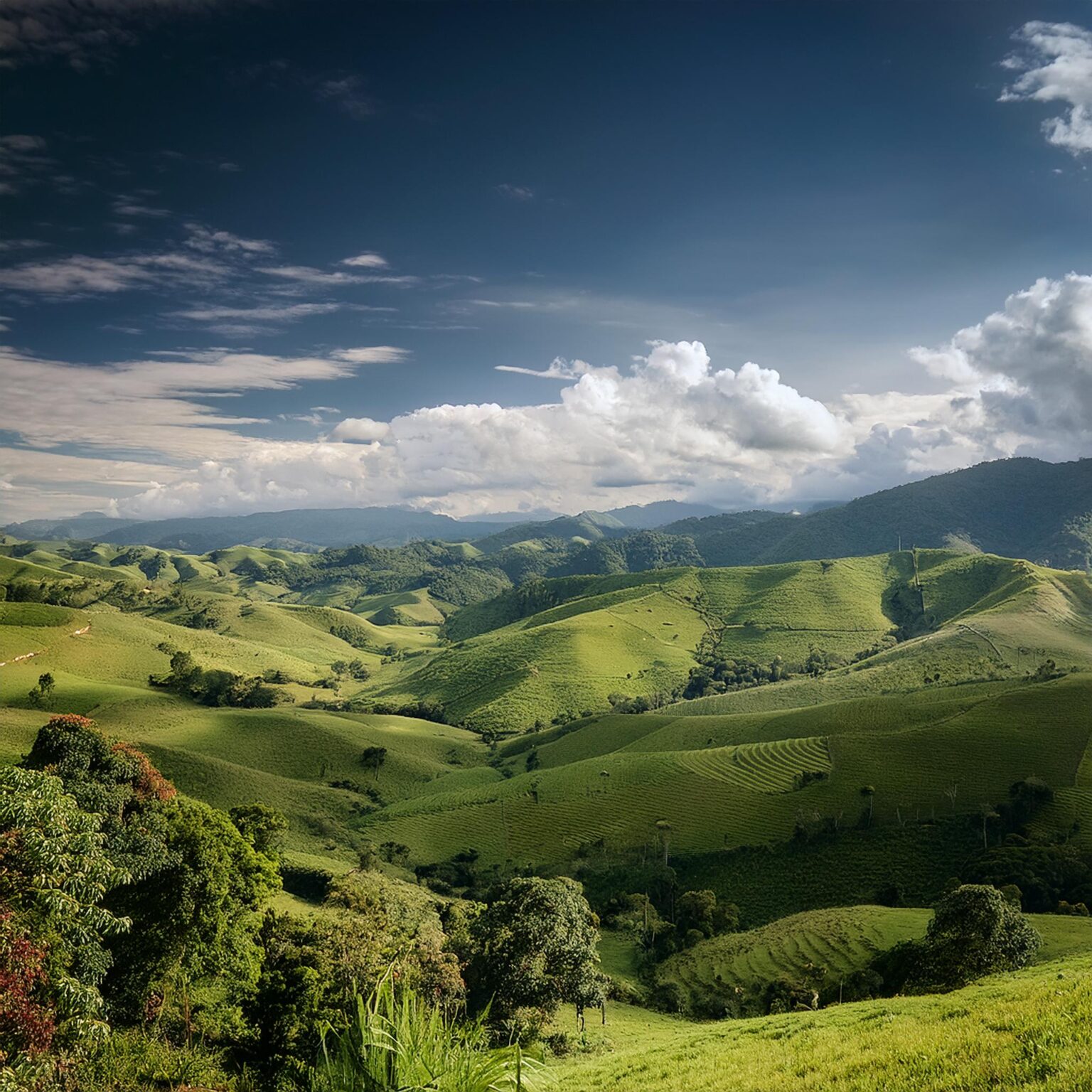 Derecho de Tierras: Propiedad y Regulación